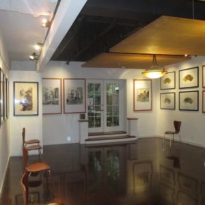 The Old Orchard Gallery - Video Conferencing