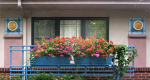 Pacific Place Senior Living in Webster Groves St. Louis Missouri